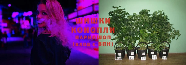 2c-b Алзамай